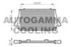 AUTOGAMMA 104894 Intercooler, charger